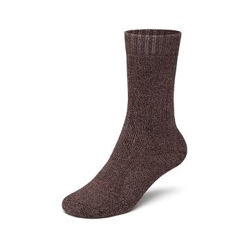 Calcetines Allbirds Trino® Cozy Crew Hombre Rojas | PE4712IS