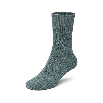 Calcetines Allbirds Trino® Cozy Crew Hombre Verde | PE4713UT