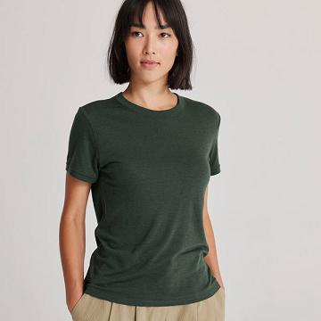 Camiseta Allbirds Sea Mujer Verde | PE4317SO