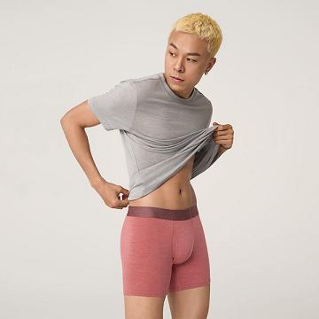 Ropa Interior Allbirds Trino® Boxer Brief Hombre Rojas | PE4782GL