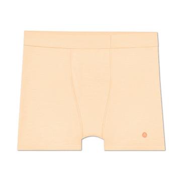 Ropa Interior Allbirds Trino® Boxer Brief Hombre Marrones | PE4783FM