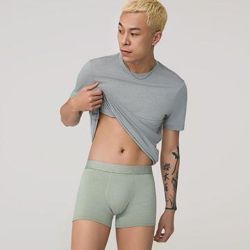 Ropa Interior Allbirds Trino® Trunk Hombre Verde | PE4775GL