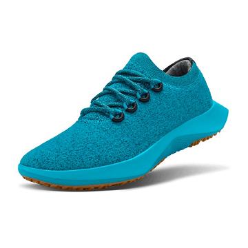 Waterproof Shoes Allbirds Lana Dasher Mizzles Hombre Turquesa | PE4804AP