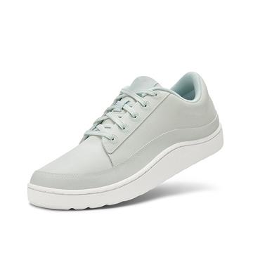 Zapatillas Allbirds Plant Pacers Hombre Gris | PE5055PQ