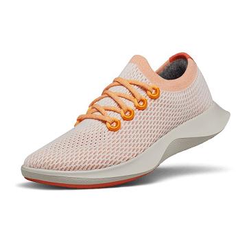 Zapatillas Running Allbirds Tree Dasher 1 Mujer Rosas Gris | PE4472DN