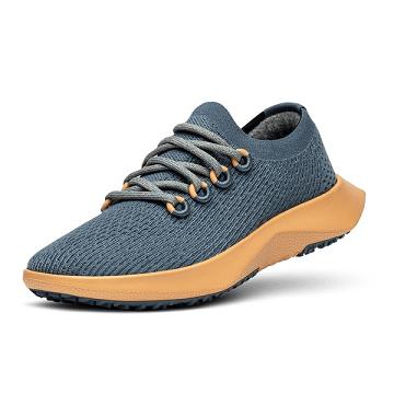 Zapatillas Running Allbirds Tree Dasher 2 Hombre Azules Amarillo | PE4857GL