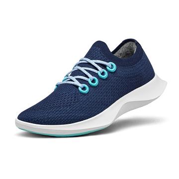 Zapatillas Running Allbirds Tree Dasher 1 Hombre Azules Blancas | PE4890UT