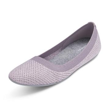 Zapatos Slip On Allbirds Tree Breezers Mujer Moradas | PE4527PQ